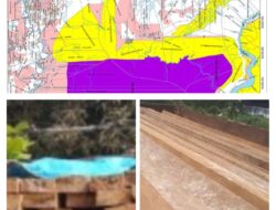 Kapolda Riau dan Kodim serta BKSDA Diminta Tindak Tegas Pemain Kayu Ilegal dari Hutan SM Teluk Meranti Juga Kerumutan